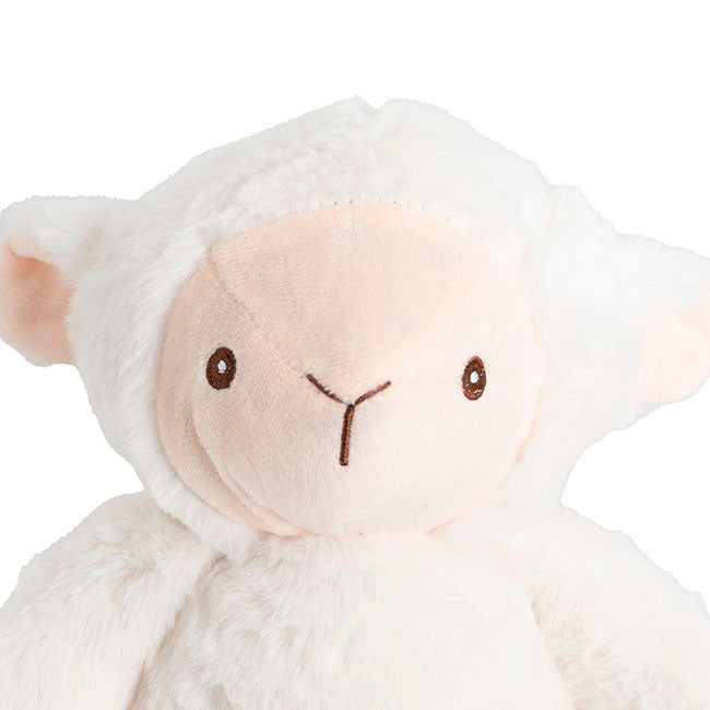Twins Little Lamb Organic Neutral Baby Gift Hamper