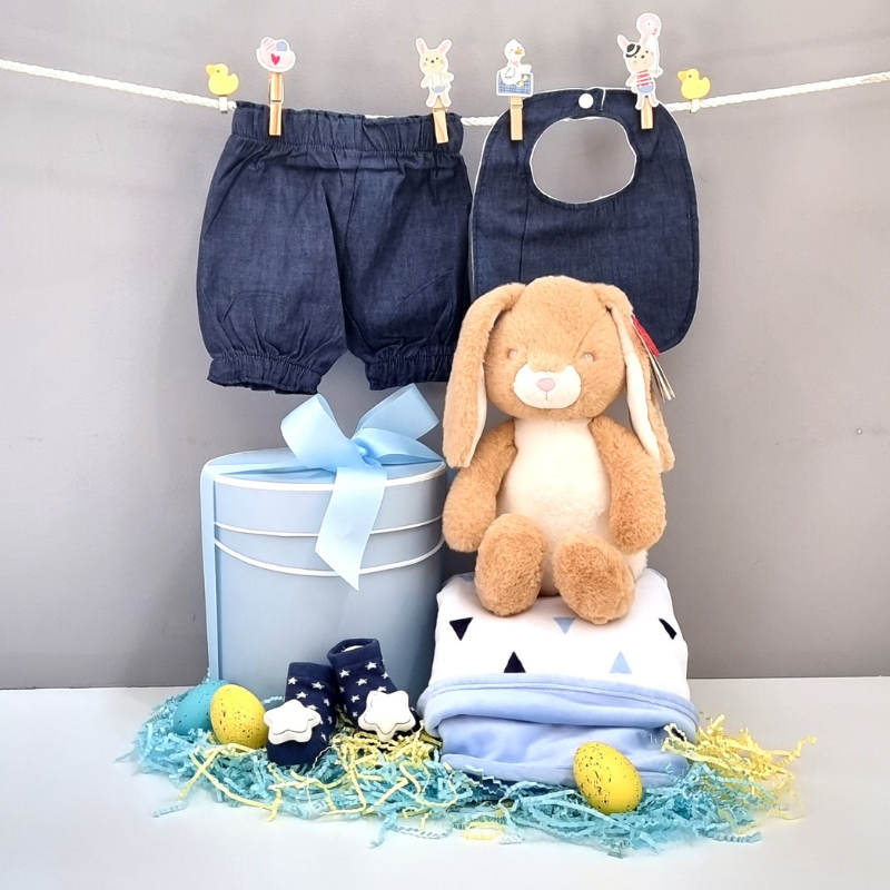 Baby Boy Blanket & Bunny Hamper Hamper