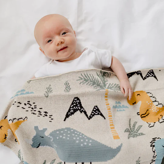 Huxbaby Little Dino Baby Boy Gift Hamper