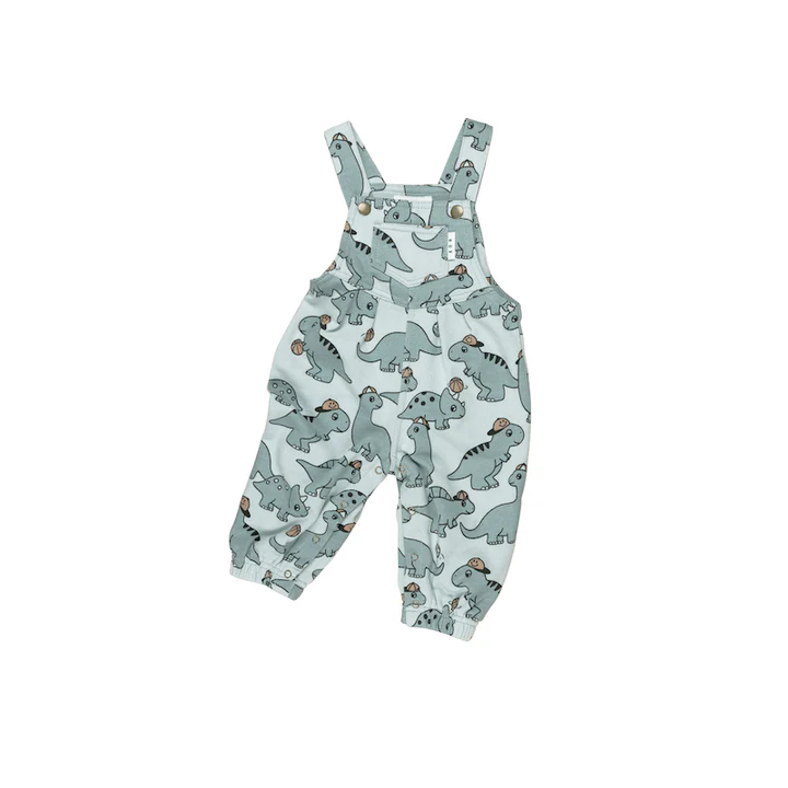 Huxbaby Little Dino Baby Boy Gift Hamper