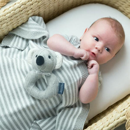 baby in basket with knitted blanket and koala baby rattle