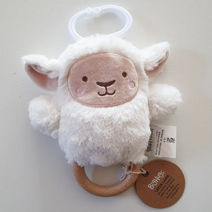 Boys and Girls Dingarings Baby Rattles