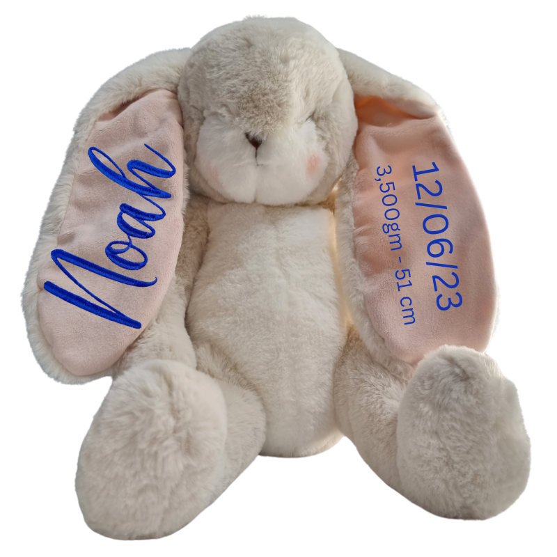 Personalised Bunnies By The Bay Soft Toy Baby Hamper
