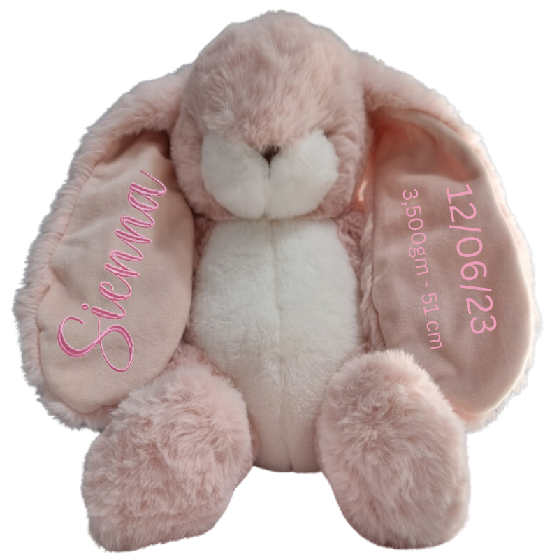 Personalised Bunnies By The Bay Soft Toy Baby Hamper