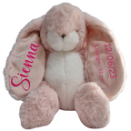Personalised Bunnies By The Bay Soft Toy Baby Hamper