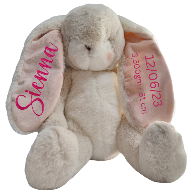 Personalised Bunnies By The Bay Soft Toy Baby Hamper
