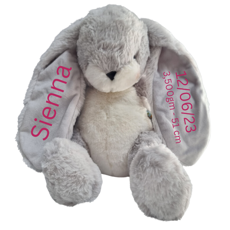 Personalised Bunnies By The Bay Soft Toy Baby Hamper