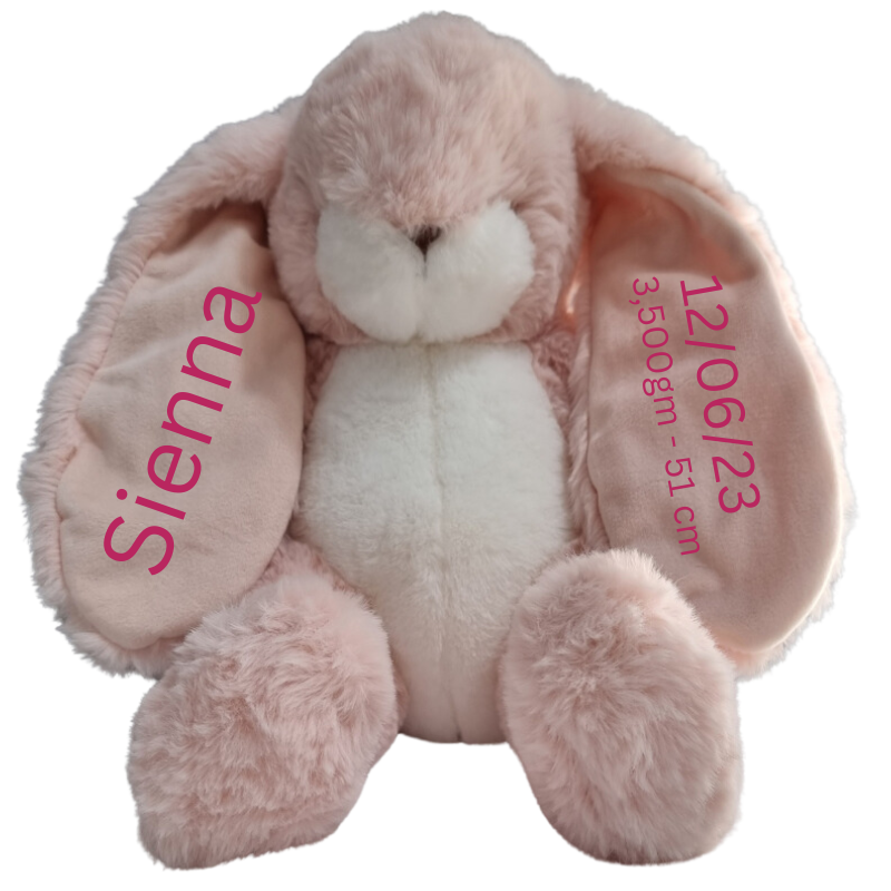 Personalised Bunnies By The Bay Soft Toy Baby Hamper