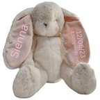 Personalised Bunnies By The Bay Soft Toy Baby Hamper