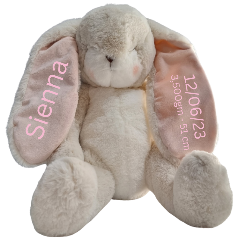 Personalised Bunnies By The Bay Soft Toy Baby Hamper