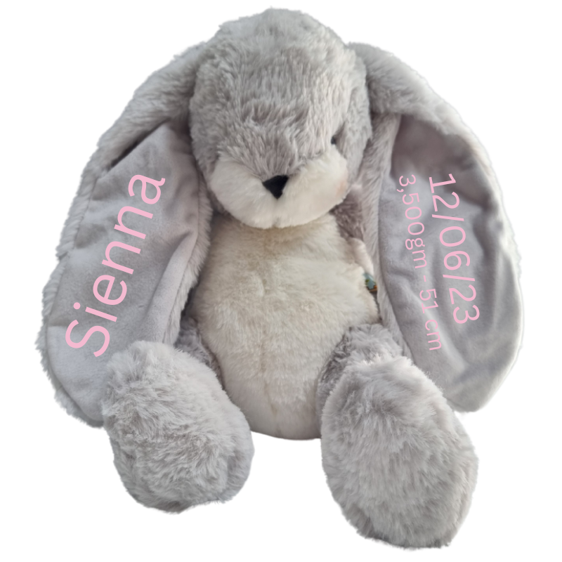 Personalised Bunnies By The Bay Soft Toy Baby Hamper