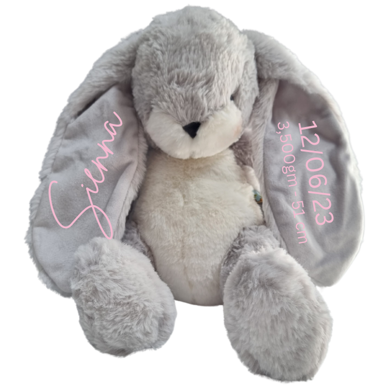 Personalised Bunnies By The Bay Soft Toy Baby Hamper