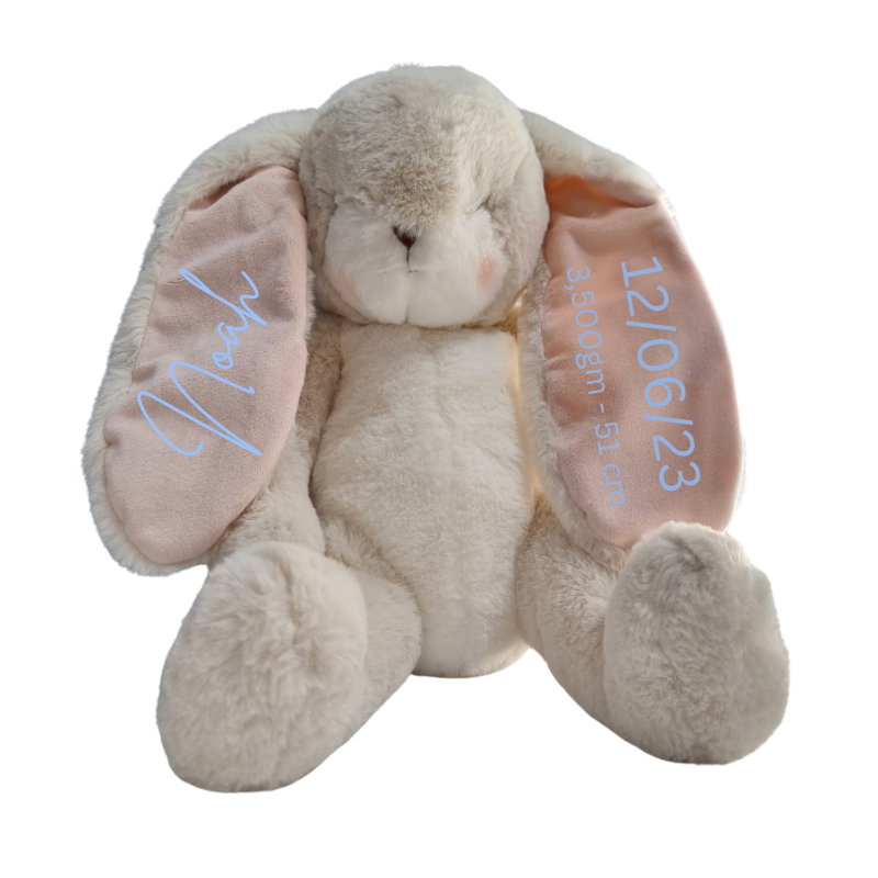 Personalised Bunnies By The Bay Soft Toy Baby Hamper