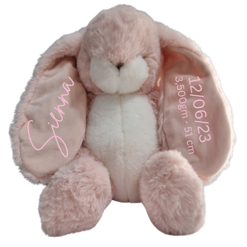 Personalised Bunnies By The Bay Soft Toy Baby Hamper