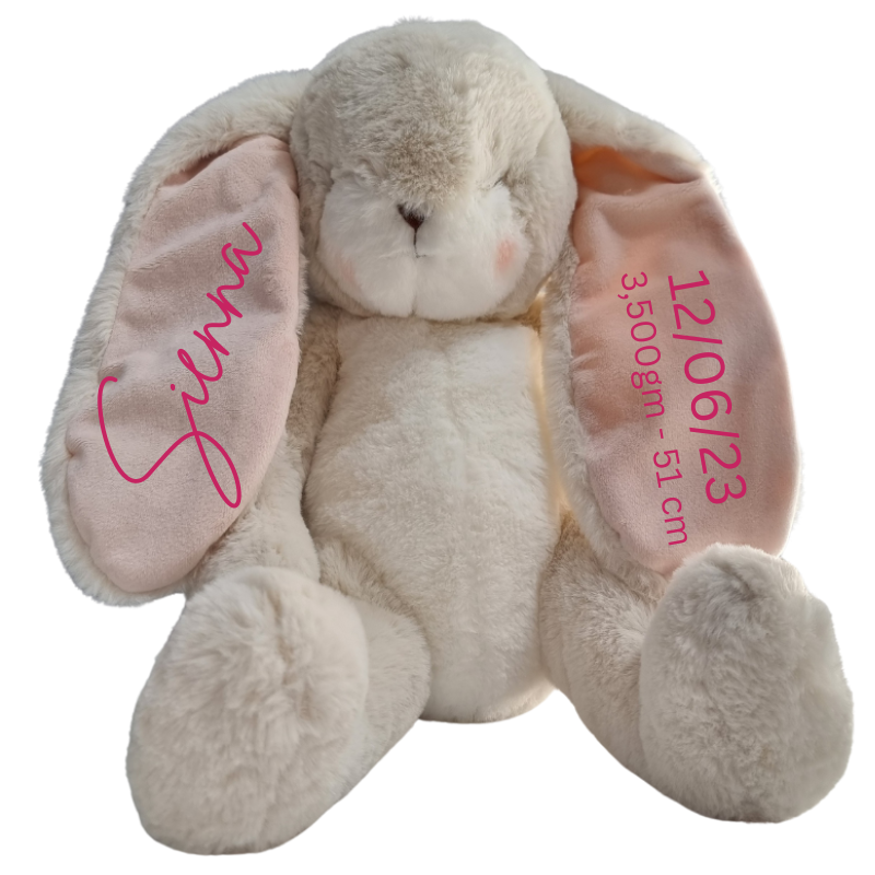 Personalised Bunnies By The Bay Soft Toy Baby Hamper