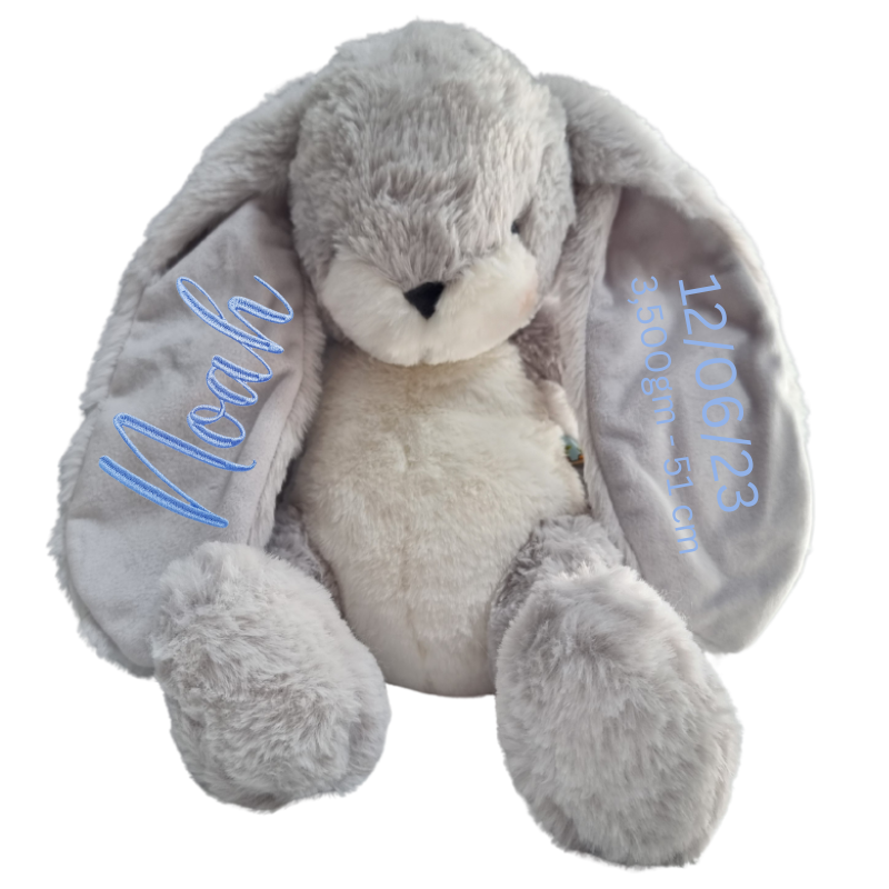 Personalised Bunnies By The Bay Soft Toy Baby Hamper