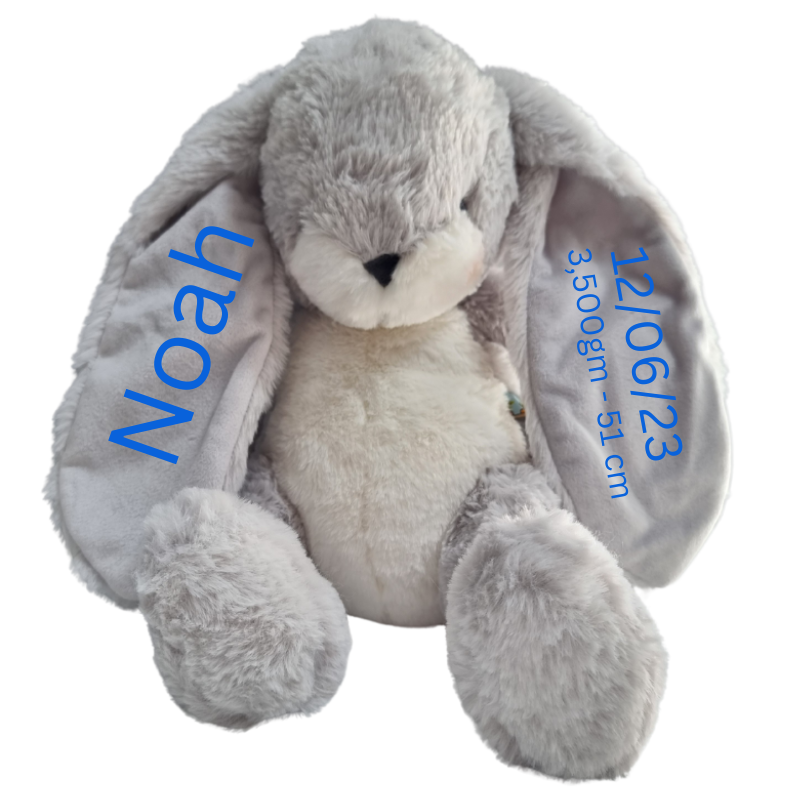 Personalised Bunnies By The Bay Soft Toy Baby Hamper
