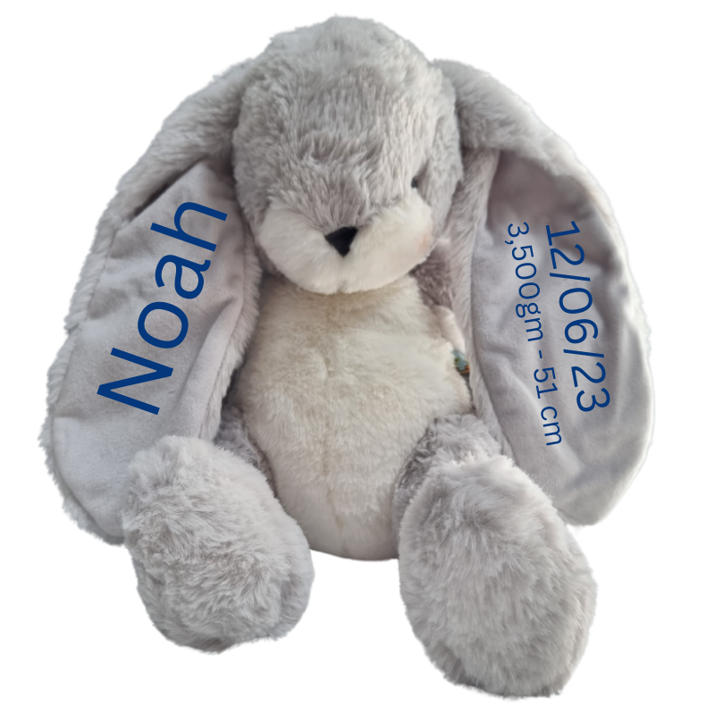 Personalised Bunnies By The Bay Soft Toy Baby Hamper