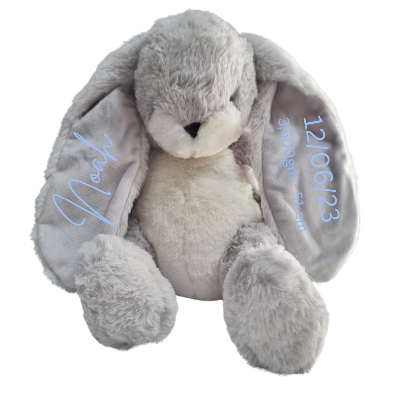 Personalised Bunnies By The Bay Soft Toy Baby Hamper