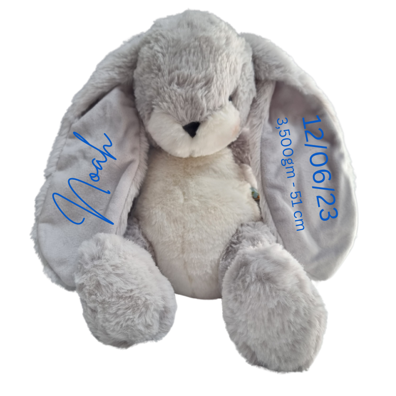 Personalised Bunnies By The Bay Soft Toy Baby Hamper