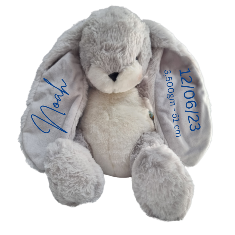 Personalised Bunnies By The Bay Soft Toy Baby Hamper