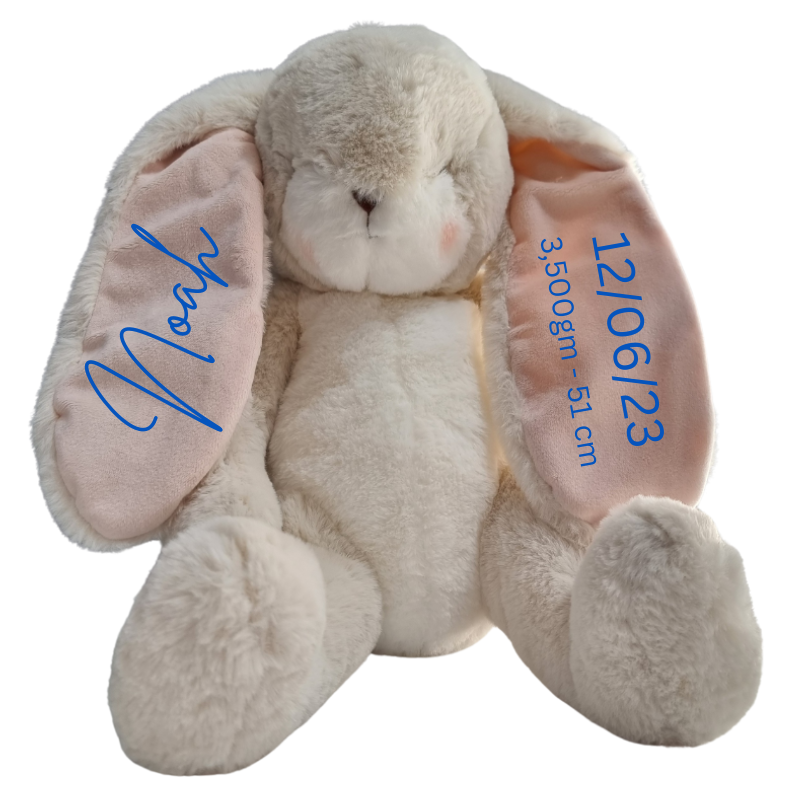 Personalised Bunnies By The Bay Soft Toy Baby Hamper