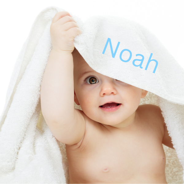 Newborn Baby Boy Bath Hamper