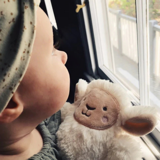 Baby looking out window whilst holding lamb teether rattle toy