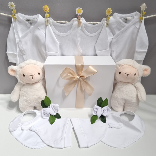 Twin Little Lambs Organic Neutral Baby Gift Hamper