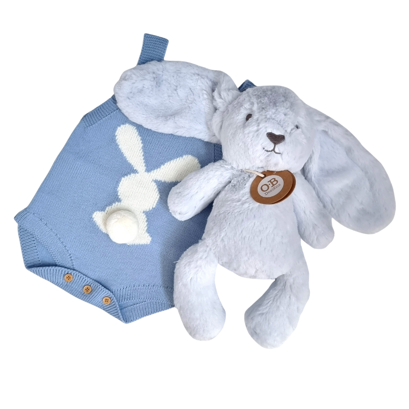 Bunny Fluff Tale Baby Boy Hamper