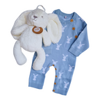 Billy Bunny Baby Boy Gift Hamper