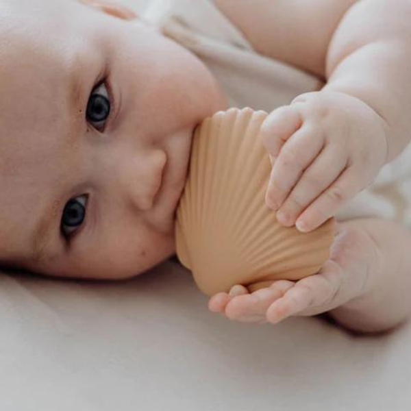 baby with shell silicone teething toy