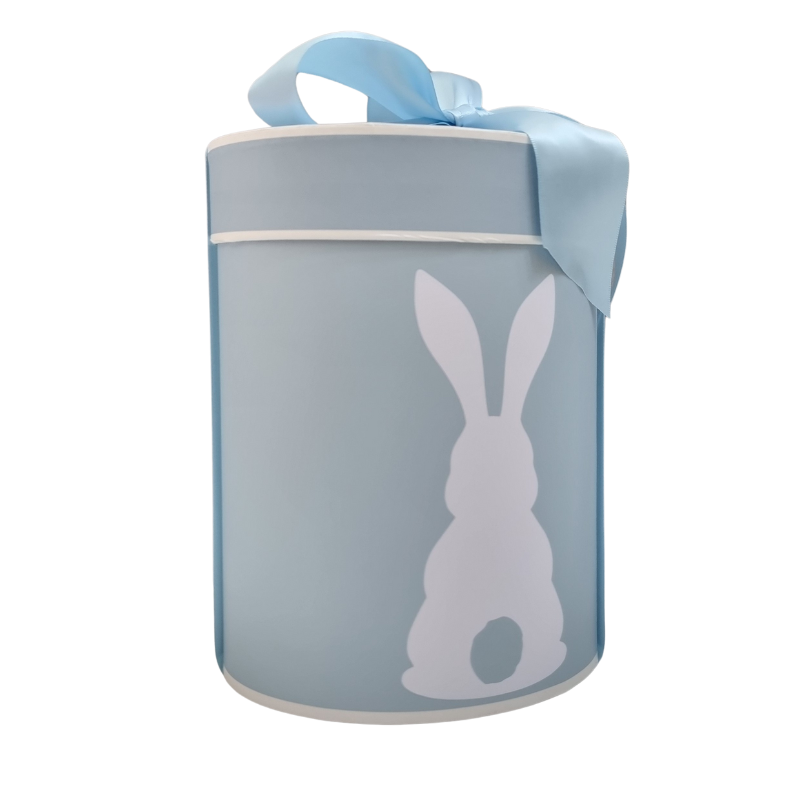 Bunny Baby Boy Hat Gift Box