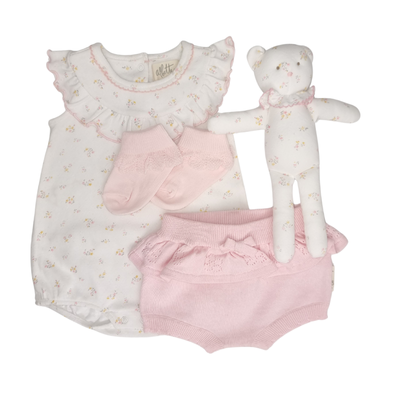 Sweet Little Teddy Baby Girl Hamper Baby Clothing 