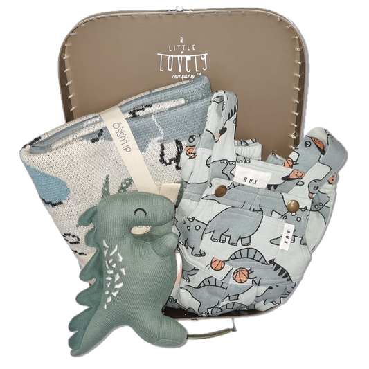 Huxbaby Little Dino Baby Boy Gift Hamper