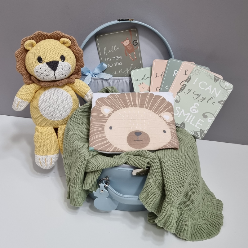 Baby gift set with lion-themed plush toy, pillow, and books on a white surface.