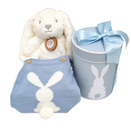 A baby romper with a bunny design, a plush white and gray bunny toy, and a blue gift box with a bunny print, tied with a blue ribbon.