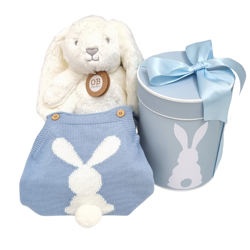 A baby romper with a bunny design, a plush white and gray bunny toy, and a blue gift box with a bunny print, tied with a blue ribbon.