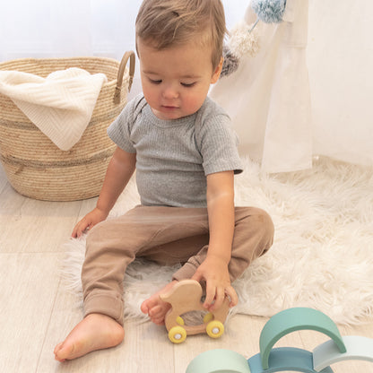 Push Along Wooden Ducky Toy