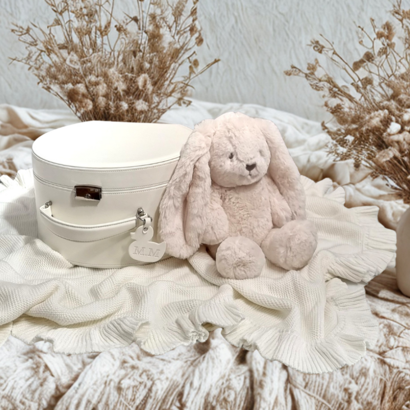 white plush bunny toy next to a white suitcase on a textured surface with dried plants in the background.