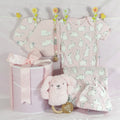 Pink Bunny Baby Girl Hamper 