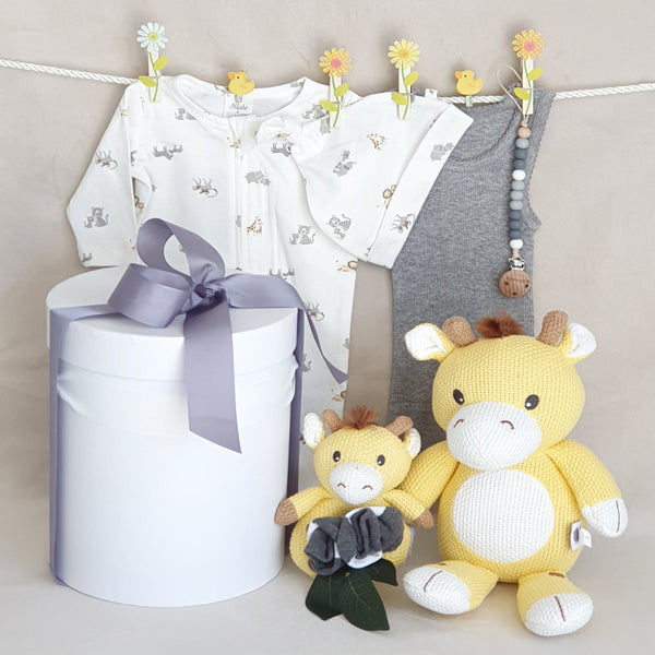 Organic baby neutral safari gift hamper with beanie, suit, singlet, socks, silocone teether chain and giraffe knitted teether ring and toy. 