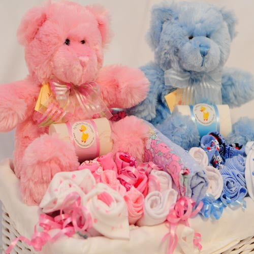 twins gift basket boy and girl pink and blue teddy bears and clothing